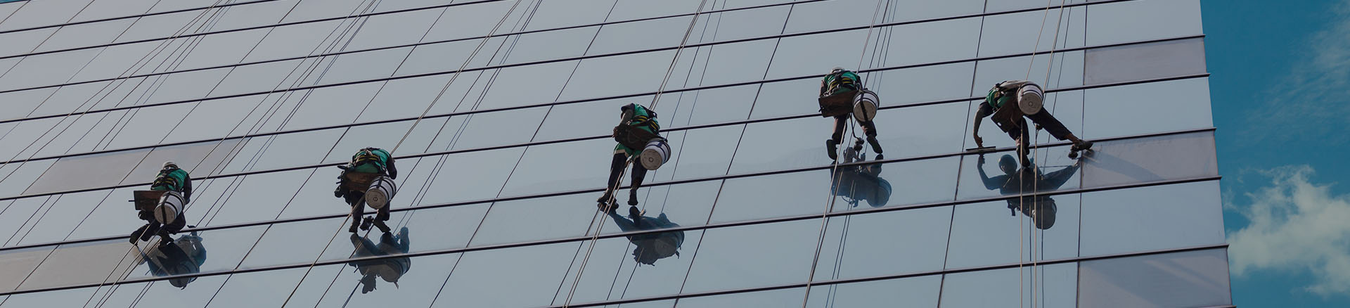 ������Ѷ