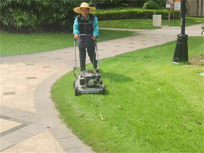 ��ֲ����